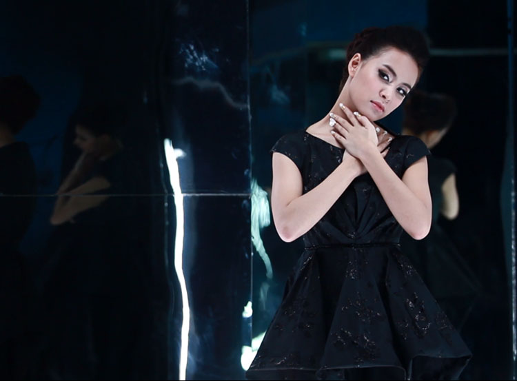 Năm 2011, Hoàng Thùy Linh tiếp tục sự nghiệp ca hát với album 'Đừng vôi vàng'  cũng là một sản phẩm dance pop hợp tác với nhạc sĩ Lưu Thiên Hương. 